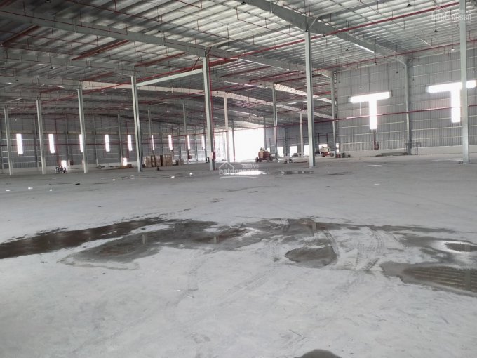 Cho thuê kho xưởng mới xây tiêu chuẩn 80000m2 trong KCN VSip II, TP. Thủ Dầu Một, tỉnh Bình Dương