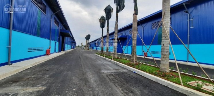 Cần cho thuê kho xưởng diện tích 15.000m2 trong KCN Mỹ Xuân thuộc Phú Mỹ, tỉnh Bà Rịa Vũng Tàu