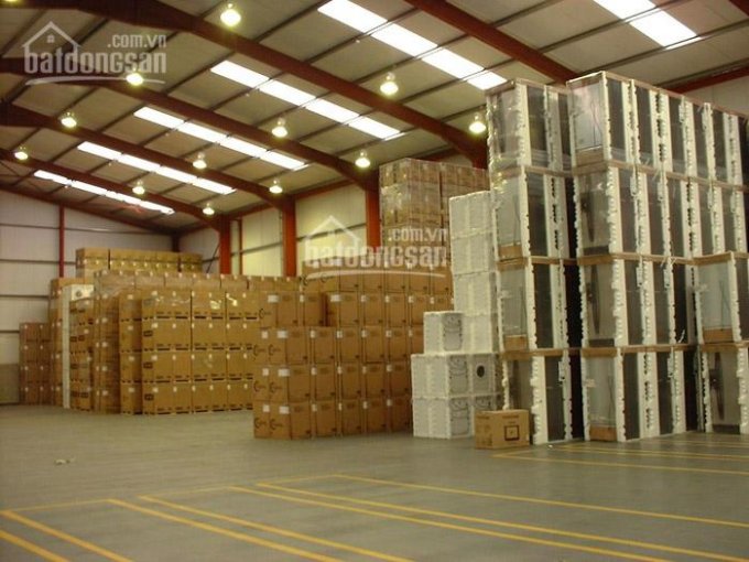 Kho chứa hàng diện tích đa dạng kèm dịch vụ Logistics từ A-Z khu vực KCN Tân Bình - Vĩnh Lộc A