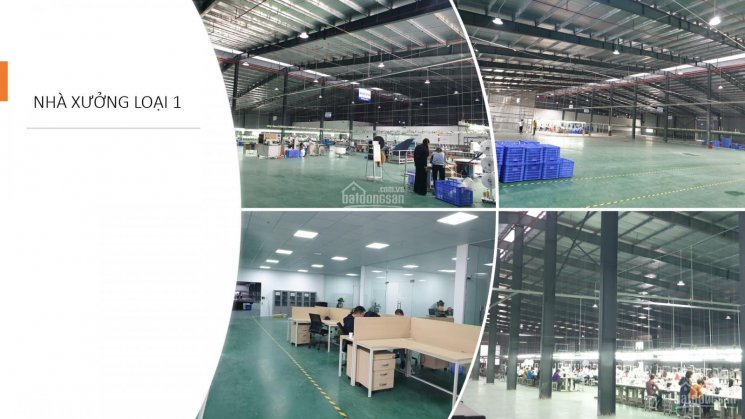 Cho thuê nhà xưởng tại khu B cụm công nghiệp Đồng Lạng - Phú Thọ giá từ 48000 đến 68.000 vnđ/m2