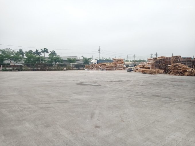 Cho thuê kho xưởng 1000m2 - 5000m2 tại Lai Cách, Cẩm Giàng, Hải Dương (đối diện KCN Đại An)