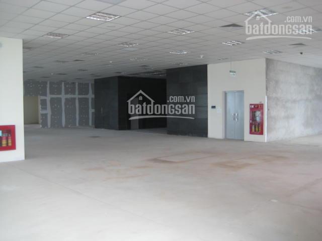 Cho thuê VP gần Tân Mai, quận Hoàng Mai 80m2, 120m2, 200m2 300m2, 400m2 900m2 giá 110 nghìn/m2/th