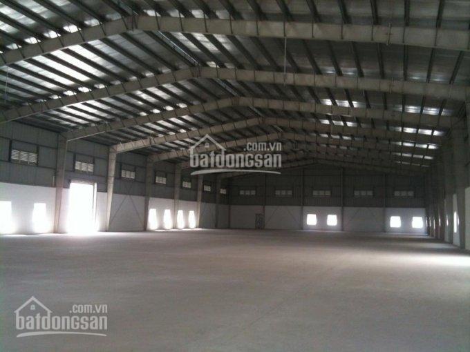 Cần cho thuê xưởng trong KCN Đức Hòa. DT 5000m2, giá 55.652,5 đ/m²/tháng