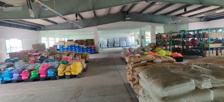 Cho thuê kho xưởng 4000m2 trong Khu chế xuất Tân Thuận, Quận 7, TP.HCM