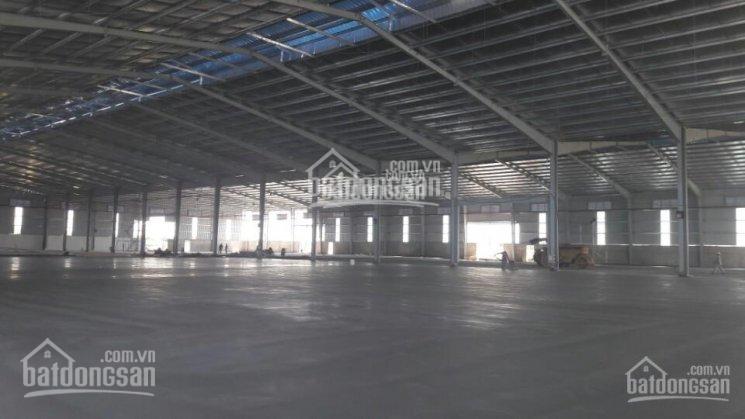 Kho xưởng cho thuê giá tốt gần ngã 4 Mỹ Phước Tân Vạn, Dĩ An, Bình Dương, DT: 10.000m2