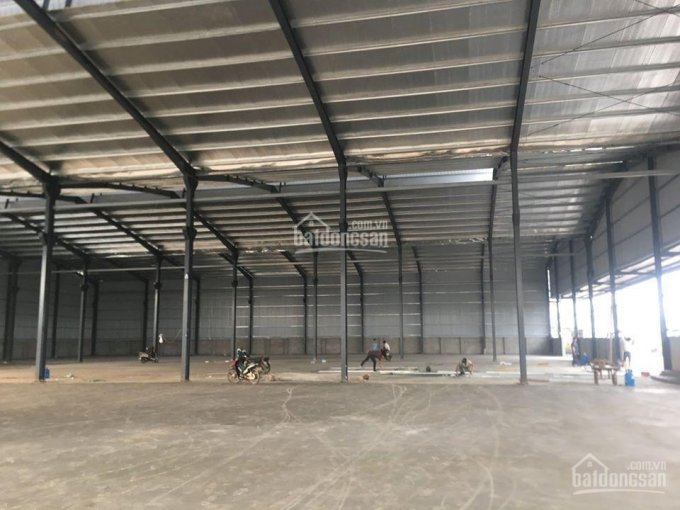 Cho thuê 2 kho 2000m2 1000m2 ở Lê Thánh Tông, đầy đủ PCCC, mới dựng