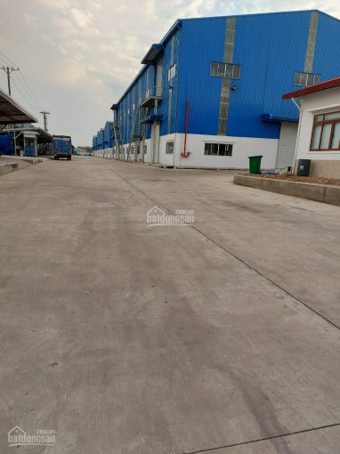 Cho thuê kho 5.600m2 giá 392 triệu xã Đức Hoà Hạ. Huyện Đức Hòa tỉnh Long An