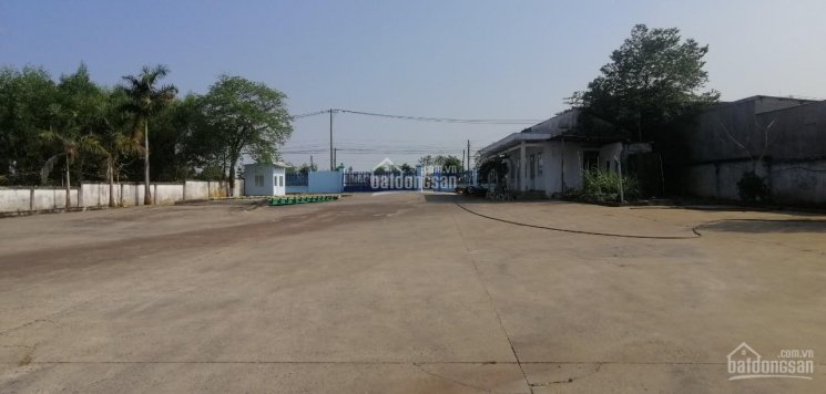 Cần cho thuê xưởng tại Phước Bình, Long Thành, tỉnh Đồng Nai gần KCN Mỹ Xuân B1, Bà Rịa Vũng Tàu