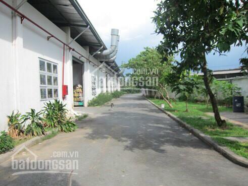 Cho thuê kho xưởng 5200m2 có văn phòng mặt tiền đường Bùi Công Trừng, xã Đông Thạnh, huyện Hóc Môn