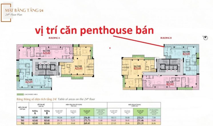 Bán giá gốc Penthouse The Antonia Phú Mỹ Hưng đường Nguyễn Lương Bằng, DT 257m2, căn góc rất đẹp