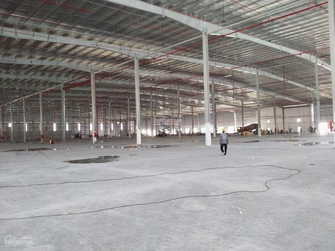 Cho thuê kho xưởng mới xây tiêu chuẩn 80000m2 trong KCN VSip II, TP. Thủ Dầu Một, tỉnh Bình Dương
