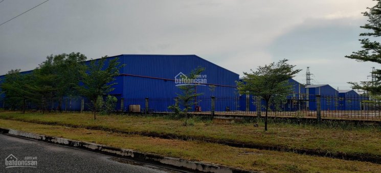 Công ty Tuấn Phong cần cho thuê nhà xưởng kho bãi mới xây, diện tích rộng trong KCN Mỹ Xuân A2