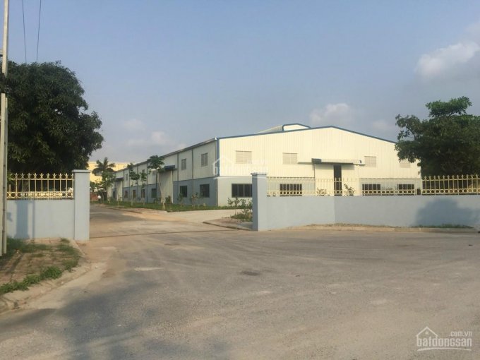 Cho thuê nhà xưởng 2.250m2 (chưa bao gồm hạ tầng xung quanh) tại KCN Phú Nghĩa, Chương Mỹ, Hà Nội