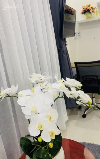 Cho thuê CH chung cư mini mới xinh tại Bình Thạnh, LH: 0902644155