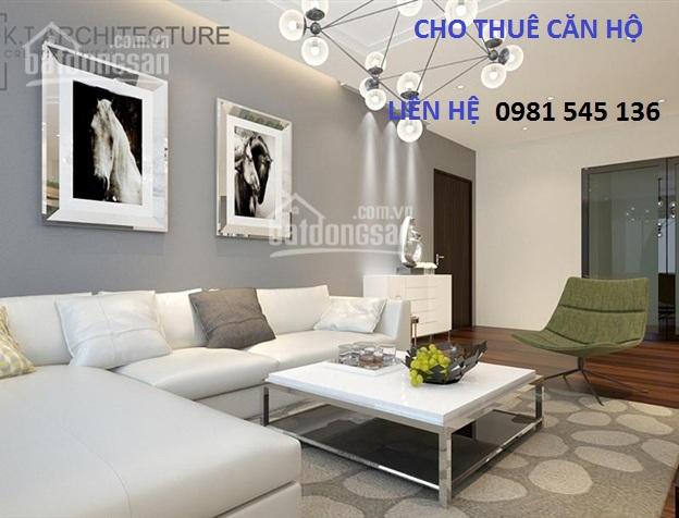 Cho thuê căn hộ chung cư Vinhomes Metropolis, 55m2, 1PN, giá rẻ 14 tr/th. LH 0981 545 136