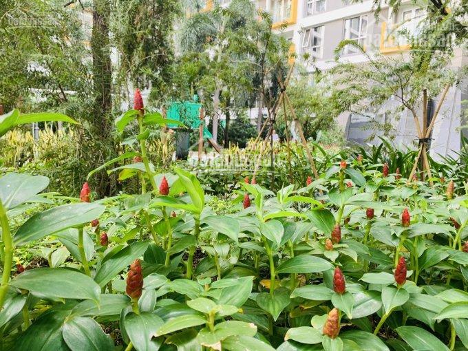 Cho thuê căn hộ chung cư Botanic, quận Phú Nhuận, 2 phòng ngủ, nội thất đầy đủ giá 14 triệu/tháng