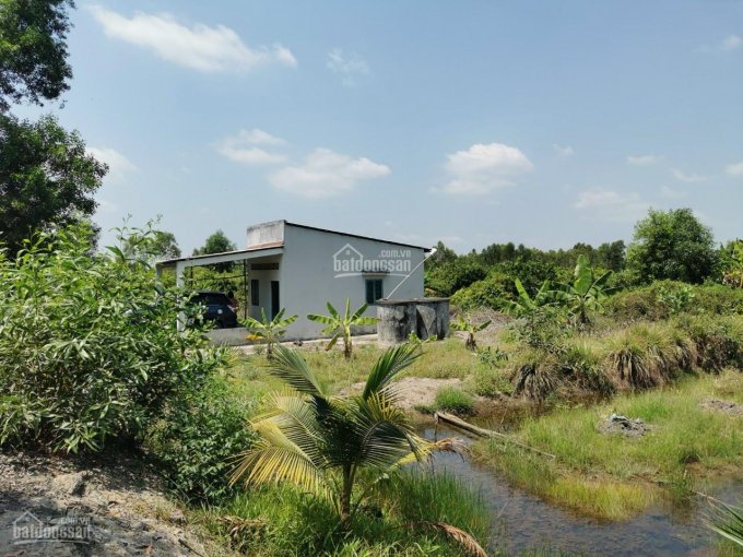 Cần bán nhà vườn có vườn dừa Thạnh Hòa Bến Lức, đất cách TL 816 700m