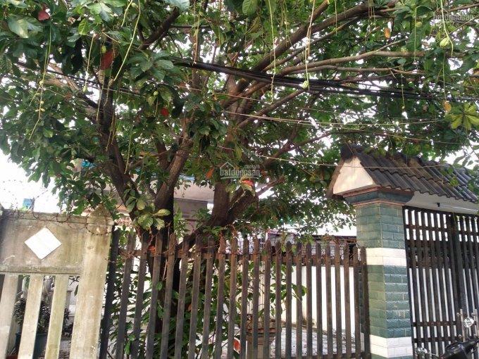 Bán biệt thự nhà vườn tại ấp 2 đường 222 giáp DT8, Bến Than, Xã Hòa Phú, Huyện Củ Chi