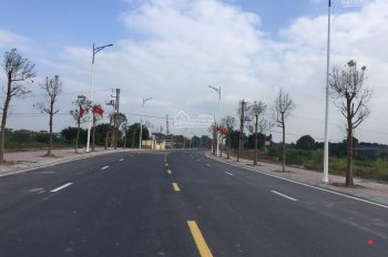Bán 250m2 nhà đất kinh doanh - Nam Lĩnh - Nam Đàn - Nghệ An