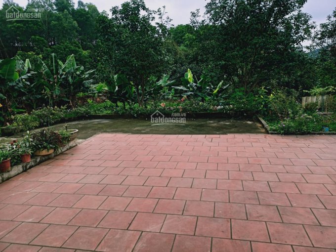 CC gia đình bán nhanh nhà vườn xinh xắn nhà, vườn, Bãi Cam, Hoa Sơn, Sóc Sơn, 3600m2, 1.6 triệu/m2