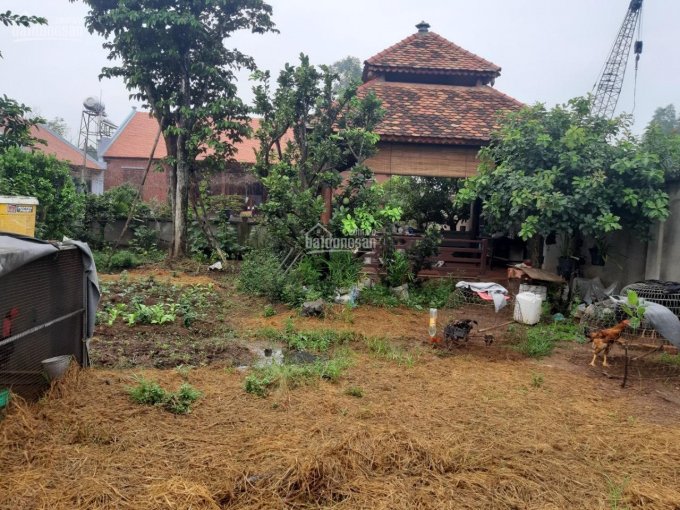 Cần bán nhà đất 2MT Võ Nguyên Giáp, gồm nhà gỗ cổ 5 gian trong khu vườn 1600m2, 2246m2 MB cho thuê