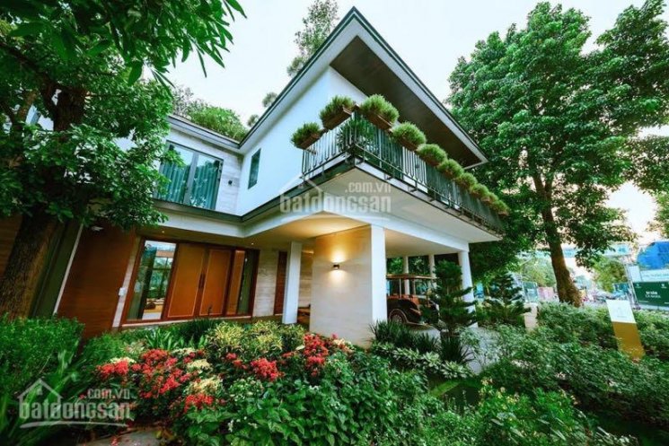 BÁN GẤP CĂN LIỀN KỀ, lÔ GÓC - KHU TỔ HỢP ROMAN TỐ HỮU, VỈA HÈ, KD ĐỈNH - 155M*MT 14M NHỈNH 20 TỶ