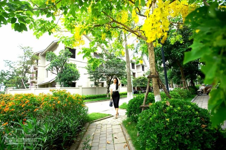 Nhận gửi bán biệt thự trong khu đô thị Sunny Garden City. Anh/chị có nhu cầu bán liên hệ 0962204486