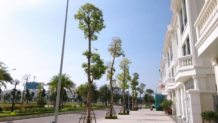 Cần bán biệt thự song lập khu sông rẻ nhất Vinhomes Star City TP Thanh Hoá, thiết kế cực sang chảnh