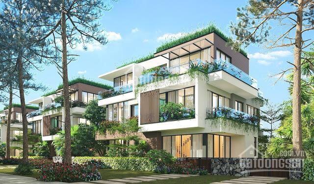 Bán BT Flamingo Đại Lải, diện tích 400m2 mặt tiền. Giá 66 tỷ