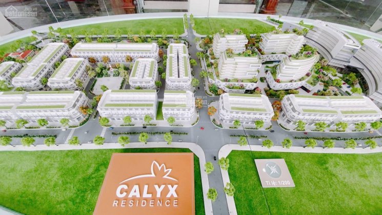 Bán suất ngoại giao Calyx Residence 319 Uy Nỗ chỉ từ 4, xx tỷ căn nhà phố liền kề 70m2