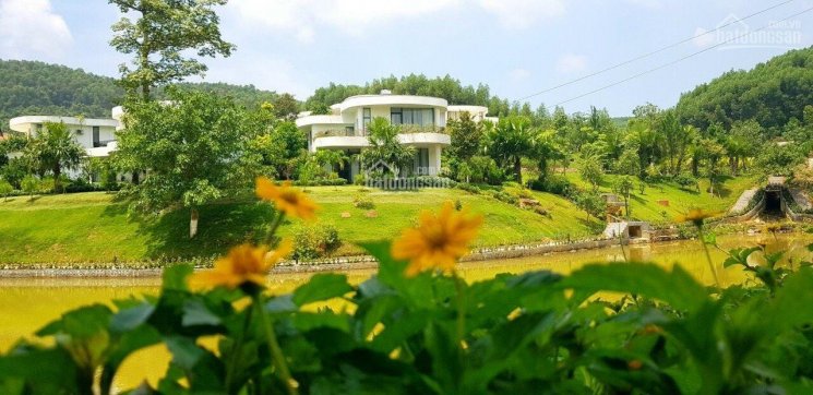 Chính chủ cần bán biệt thự LS378, ngoại giao, mặt hồ East Lake dự án Ivory Vilas & Resort Hòa Bình