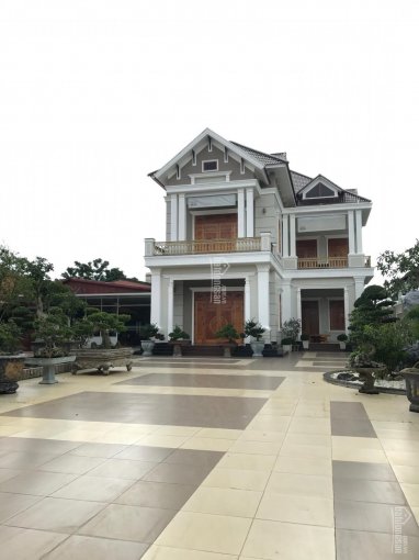 Phá sản bán gấp siêu biệt thự MT Nguyễn Tri Phương, Lộc Tiến