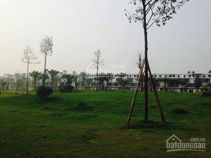 Chính chủ cần bán căn khe thoáng view công viên dự án Nam 32, Hoài Đức, Hà Nội