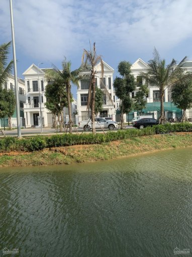 Bán cắt lỗ căn LK 87,5m2 giá hơn 4 tỷ dự án Vinhomes Star City Thanh Hóa