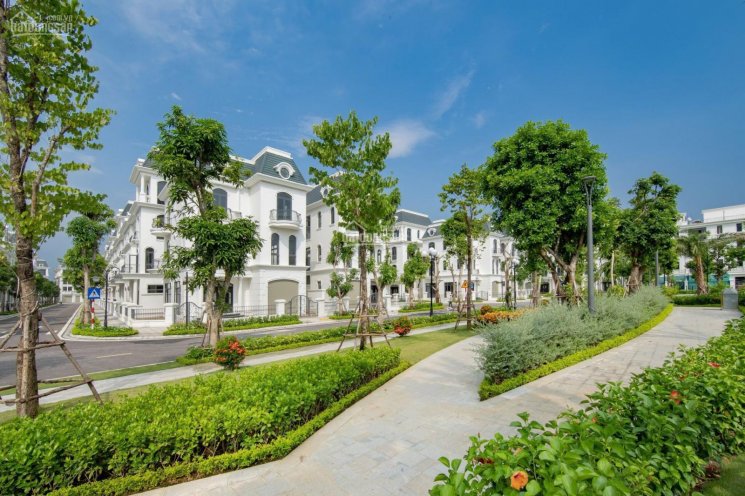 Cần bán biệt thự song lập khu sông rẻ nhất Vinhomes Star City TP Thanh Hoá, thiết kế cực sang chảnh