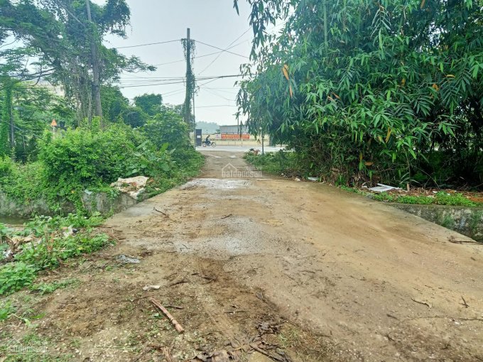 Bán gấp lô đất mặt đường Hồ Chí Minh khu vực Miếu Môn thuộc xã Trần Phú, Chương Mỹ
