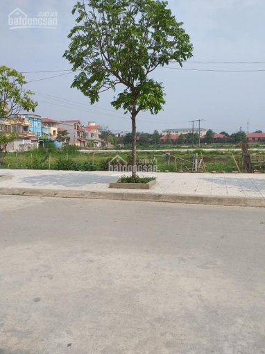 Bán đất trung tâm TP Thanh Hóa