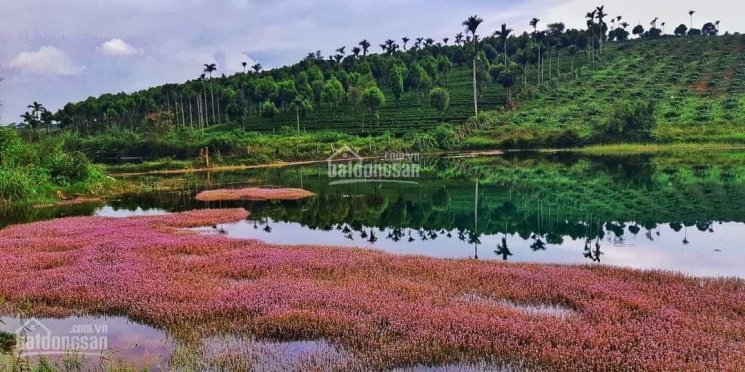 Em bán đất nền view đẹp giá mềm Bảo Lộc, LH 0334860145
