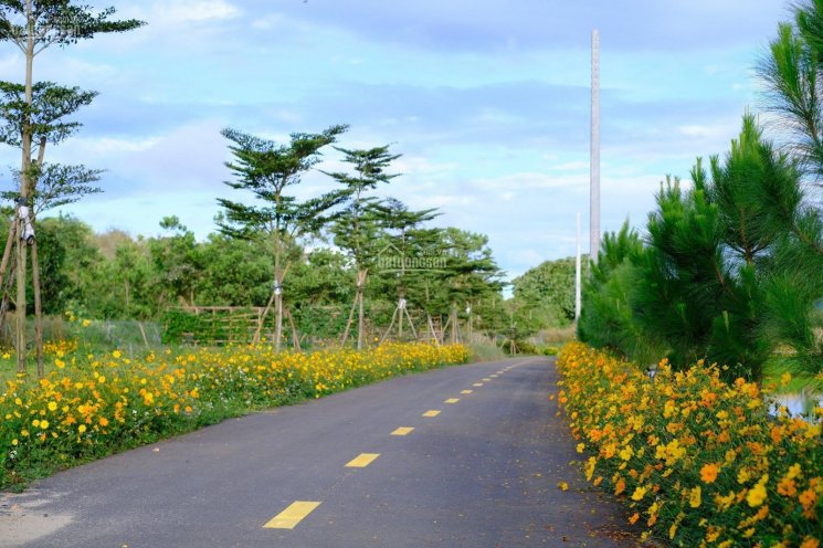 Cần tiền bán gấp lô đất gần suối, view đẹp giá rẻ