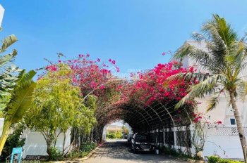 Villa biển Hồ Tràm có sổ giá rẻ nhất thị trường