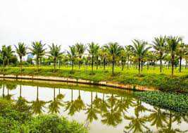Bán đất biệt thự trong khu R1 khu đô thị FPT, DT: 500m2, 600m2, 1200m2, có rất nhiều lô đẹp