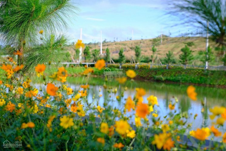 Cần tiền bán gấp lô đất gần suối, view đẹp giá rẻ