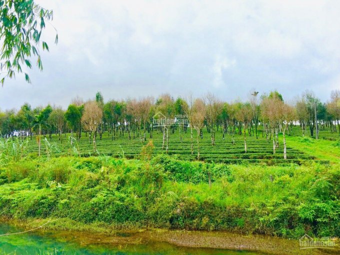 Em bán đất nền view đẹp giá mềm Bảo Lộc, LH 0334860145