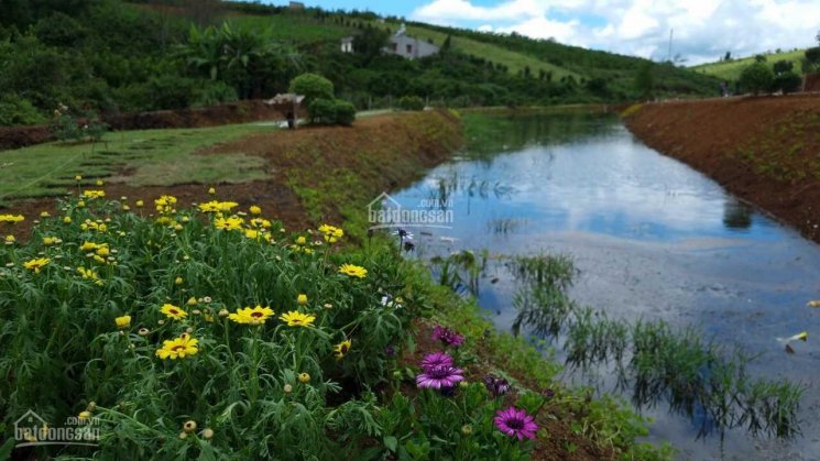 Suối Mơ Garden Hill - thông tin chính thức từ CĐT - chiết khấu khủng từ CĐT