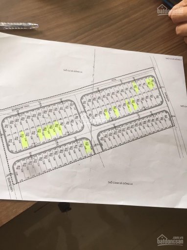 Cần bán gấp lô đất đấu giá X2 Đông La, Hoài Đức, Hà Nội