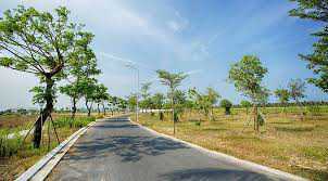 Bán đất biệt thự trong khu R1 khu đô thị FPT, DT: 500m2, 600m2, 1200m2, có rất nhiều lô đẹp