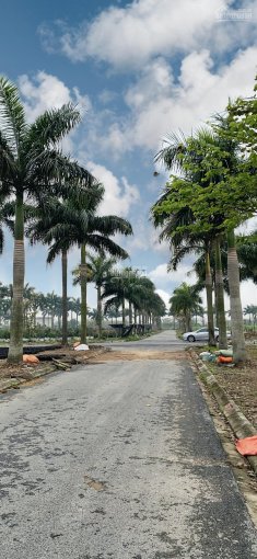 Chính chủ bán đất biệt thự Hoàng Vân, Mê Linh gần dự án Cienco 5 và AIC Mê Linh chỉ 14,5 triệu/m2