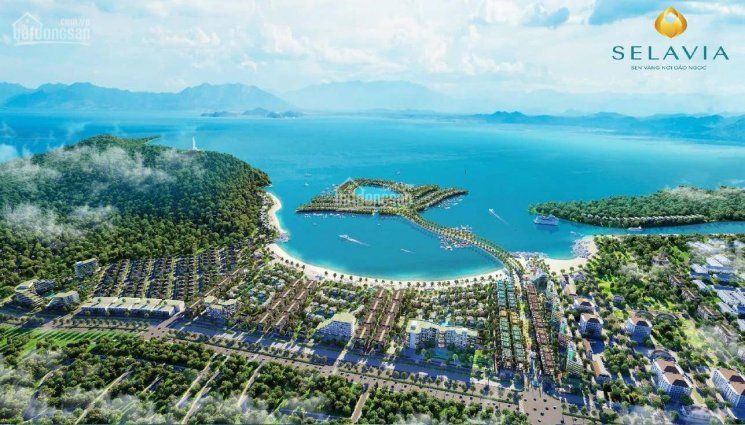 Selavia Resort món ăn yêu thích của nhà đầu tư biển và là điểm đến của nhà đầu tư có tầm nhìn xaaa