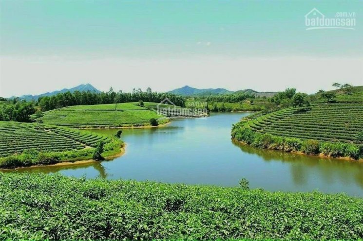 Vị trí đắc địa, nằm ngay trung tâm hành chính Lộc Quảng, Lâm Đồng