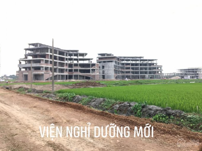 Đất đấu giá sổ đỏ KDC Giàn Chiếu - Hợp Thịnh - Tam Dương 100m2 siêu đẹp đầu tư giá chỉ 1,4xx tỷ